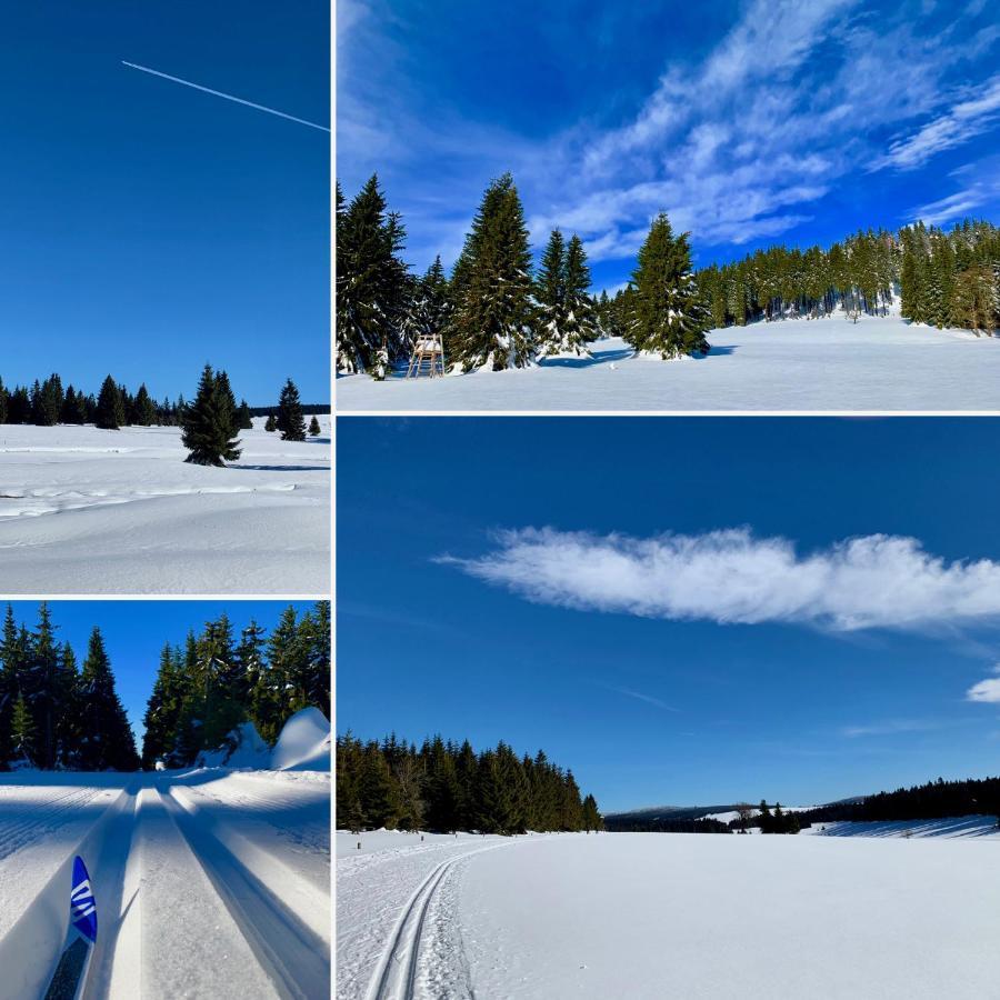 Apartman Ski Plesivec アベルタミ エクステリア 写真